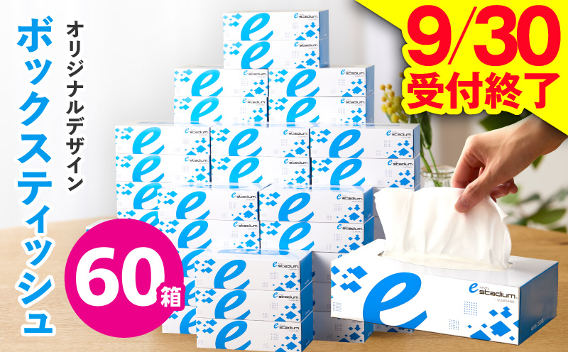 【9/30受付終了】ボックスティッシュ 60箱×400枚（200組）【生活用品 雑貨 日用品 必需品 紙 常備品 まとめ買い 備蓄 防災 ティッシュペーパー てぃっしゅ ティッシュ eスポーツ応援 泉佐野市オリジナル】