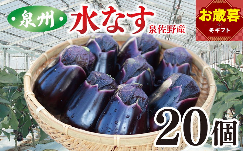 【お歳暮対応】泉州 泉佐野市産 ハウス水なす 20個【茄子 泉佐野産 とれたて 新鮮野菜 やさい 高評価】