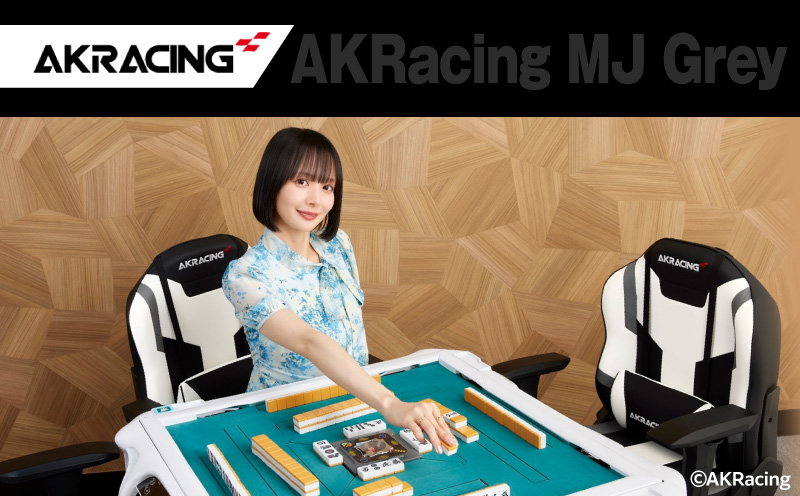 AKRacing MJ Grey エーケーレーシング ゲーミングチェア ローバックチェア（ランバーサポート付き）