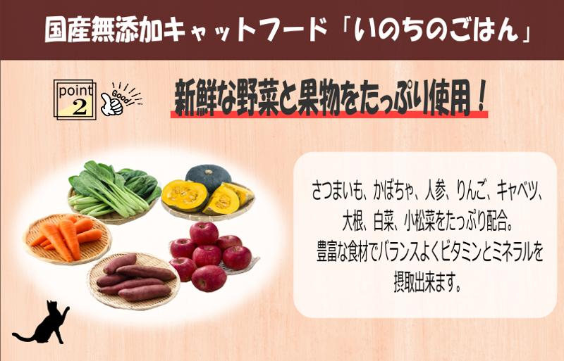 【定期便】国産無添加 キャットフード 1kg×全3回 「いのちのごはん」タンパク質 50％配合タイプ【猫 ねこ ペットフード チキン 手作り ヒューマングレード 国産】