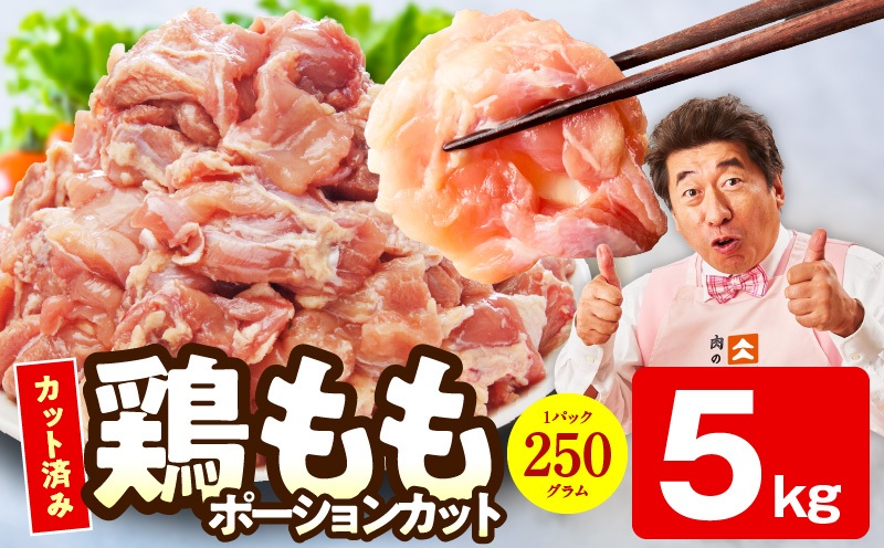 【特別規格】国産 鶏もも肉 切身 5kg 【スピード発送 カット済み 氷温熟成×極味付け 小分け 味付き 簡単調理 訳あり サイズ不揃い 鶏肉 とり】