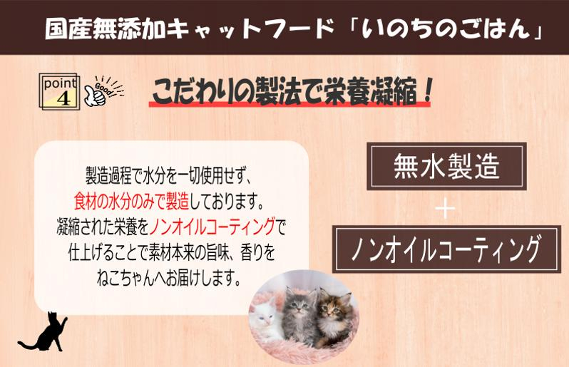 【定期便】国産無添加 キャットフード 1kg×全6回 「いのちのごはん」タンパク質 50％配合タイプ【猫 ねこ ペットフード チキン 手作り ヒューマングレード 国産】