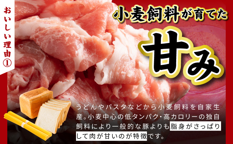 犬鳴豚餃子 100個  【国産 豚肉 ぶたにく 犬鳴ポーク 焼くだけ 人気 総菜 冷凍】