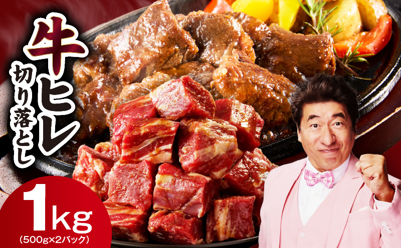 【訳あり】牛ヒレ肉 切り落とし 1kg【スピード発送 小分け 500g×2P 氷温熟成×特製ダレ サイズ不揃い やわらか ステーキ ひと口サイズ カット済み】