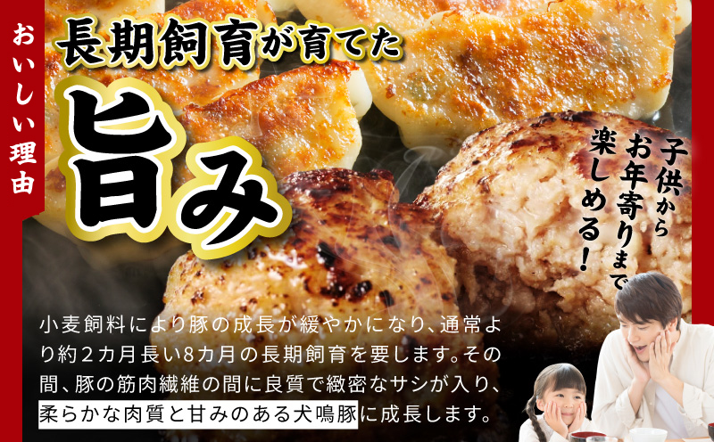 犬鳴豚餃子 100個 ハンバーグ 2個 セット【国産 豚肉 ぶたにく 犬鳴ポーク 焼くだけ 人気 総菜 冷凍】
