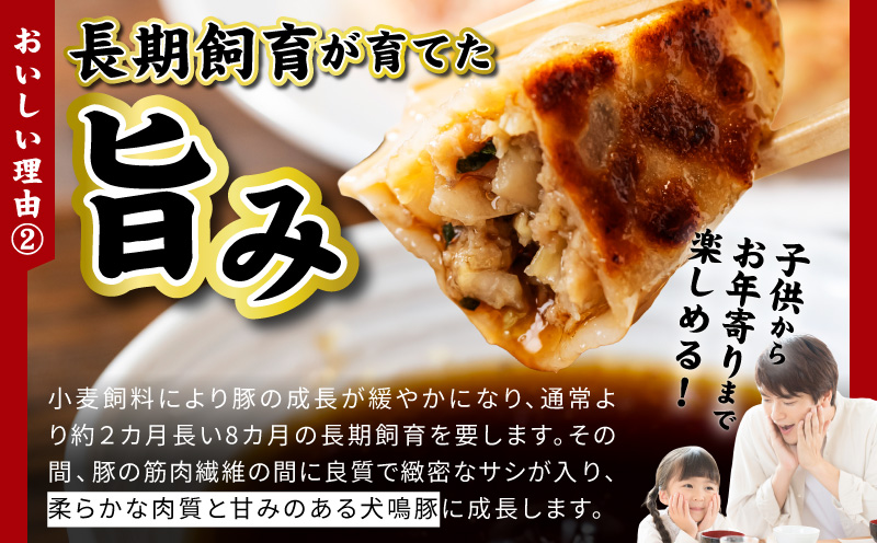 犬鳴豚餃子 100個  【国産 豚肉 ぶたにく 犬鳴ポーク 焼くだけ 人気 総菜 冷凍】