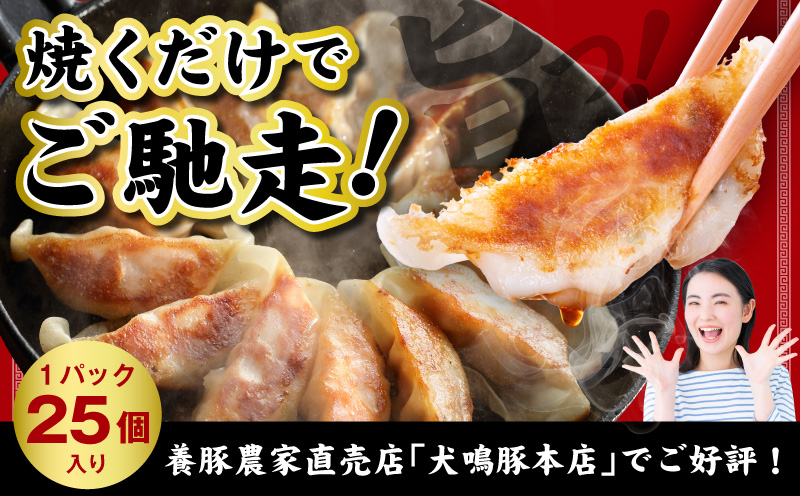犬鳴豚餃子 100個  【国産 豚肉 ぶたにく 犬鳴ポーク 焼くだけ 人気 総菜 冷凍】