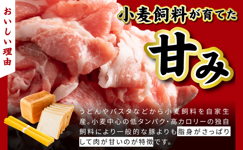 犬鳴豚餃子 100個 ハンバーグ 2個 セット【国産 豚肉 ぶたにく 犬鳴ポーク 焼くだけ 人気 総菜 冷凍】
