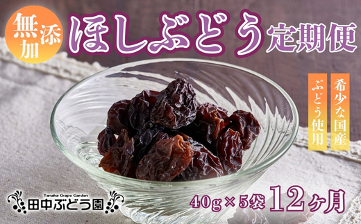 【定期便　毎月お届け12ヵ月】ほしぶどう 40g×5袋 国産 ドライフルーツ 無添加 複数品種 希少 レア 小分け 干し葡萄 干しぶどう 干しブドウ 保存食 備蓄食 常備食 食物繊維 鉄分 ほしぶどう 防災食品 ポリフェノール レーズン 製菓 製パン グラノーラ おやつ おつまみ