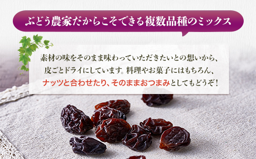 【定期便　毎月お届け3ヵ月】ほしぶどう 40g×5袋 国産 ドライフルーツ 無添加 複数品種 希少 レア 小分け 干し葡萄 干しぶどう 干しブドウ 保存食 備蓄食 常備食 食物繊維 鉄分 ほしぶどう 防災食品 ポリフェノール レーズン 製菓 製パン グラノーラ おやつ おつまみ