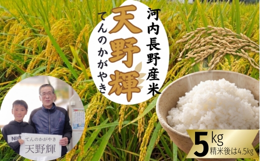 【2026年11月以降発送】令和8年産 新米 にこまる 天野輝5kg （精米後約4.5kg） てんのかがやき 献上米 大阪府 河内長野市産 白米 甘み 粘り ブランド米 こめ コメ 子ども 食育 減農薬 安心 安全 新米 河内長野市米 eco米 食味 白米 ごはん 銘柄米 ブランド 単一米 米