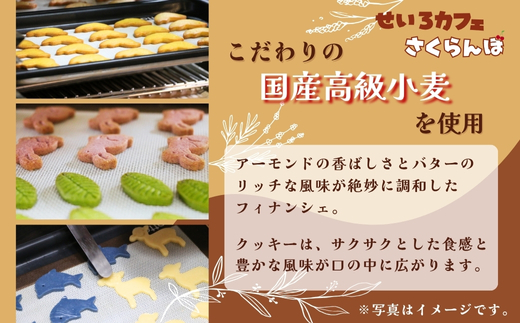 フィナンシェ&クッキーギフト C　お菓子 スイーツ ご褒美 特別 手土産 プレゼント おやつ おいしい 人気 おすすめ ギフト 自分用 河内長野
