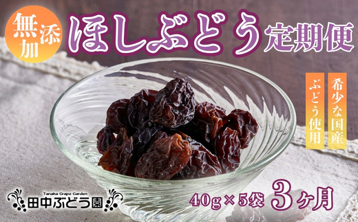 【定期便　毎月お届け3ヵ月】ほしぶどう 40g×5袋 国産 ドライフルーツ 無添加 複数品種 希少 レア 小分け 干し葡萄 干しぶどう 干しブドウ 保存食 備蓄食 常備食 食物繊維 鉄分 ほしぶどう 防災食品 ポリフェノール レーズン 製菓 製パン グラノーラ おやつ おつまみ
