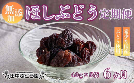 【定期便　毎月お届け6ヵ月】ほしぶどう 40g×5袋 国産 ドライフルーツ 無添加 複数品種 希少 レア 小分け 干し葡萄 干しぶどう 干しブドウ 保存食 備蓄食 常備食 食物繊維 鉄分 ほしぶどう 防災食品 ポリフェノール レーズン 製菓 製パン グラノーラ おやつ おつまみ