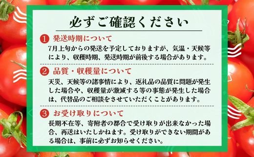 【2026年7月～順次発送】ミニトマト プチぷよ 約500ｇ (3～4パック) ｜ 先行予約 希少 トマト ぷちぷよ 人気 大阪 河内長野 こっしーファーム 料理  国産農産物 めずらしい 野菜