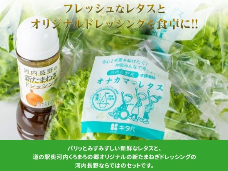 とれたてレタスと玉ねぎドレッシングセット ｜ サラダ 副菜 常備野菜 炒め物 スープ チャーハン 鍋料理 巻物 冷製料理 朝食 昼食 夕食 付け合わせ サンドイッチ ハンバーガー お弁当 ダイエット こだわりの逸品 地域特産品 ギフト 自分用 人気 おすすめ