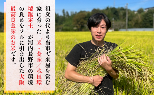 【令和8年10月10日以降順次発送】令和8年度産新米 国際コンンクール受賞 河内長野産米約4.5kg きぬむすめ 新米 2026 精白米 おいしい 美味しい 受賞米 水田環境鑑定士