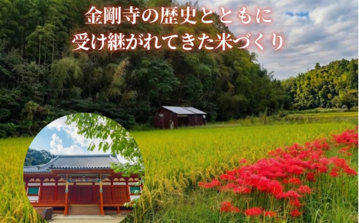 【2026年11月以降発送】令和8年産 新米 にこまる 天野輝5kg （精米後約4.5kg） てんのかがやき 献上米 大阪府 河内長野市産 白米 甘み 粘り ブランド米 こめ コメ 子ども 食育 減農薬 安心 安全 新米 河内長野市米 eco米 食味 白米 ごはん 銘柄米 ブランド 単一米 米