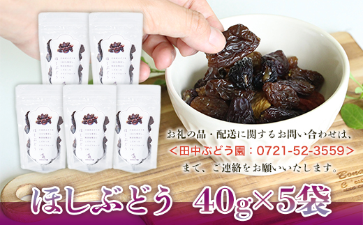 【定期便　毎月お届け3ヵ月】ほしぶどう 40g×5袋 国産 ドライフルーツ 無添加 複数品種 希少 レア 小分け 干し葡萄 干しぶどう 干しブドウ 保存食 備蓄食 常備食 食物繊維 鉄分 ほしぶどう 防災食品 ポリフェノール レーズン 製菓 製パン グラノーラ おやつ おつまみ