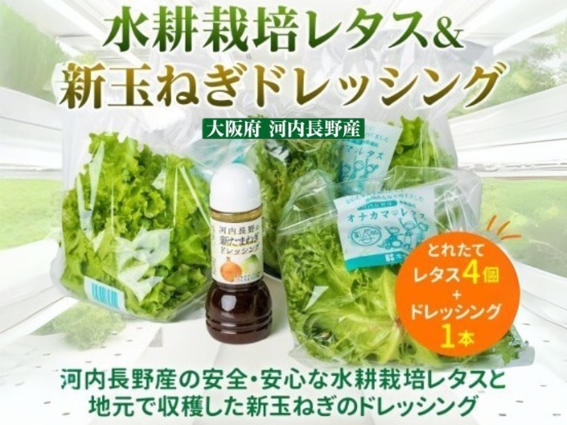 とれたてレタスと玉ねぎドレッシングセット ｜ サラダ 副菜 常備野菜 炒め物 スープ チャーハン 鍋料理 巻物 冷製料理 朝食 昼食 夕食 付け合わせ サンドイッチ ハンバーガー お弁当 ダイエット こだわりの逸品 地域特産品 ギフト 自分用 人気 おすすめ