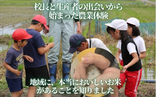 【2026年11月以降発送】令和8年産 新米 にこまる 天野輝5kg （精米後約4.5kg） てんのかがやき 献上米 大阪府 河内長野市産 白米 甘み 粘り ブランド米 こめ コメ 子ども 食育 減農薬 安心 安全 新米 河内長野市米 eco米 食味 白米 ごはん 銘柄米 ブランド 単一米 米