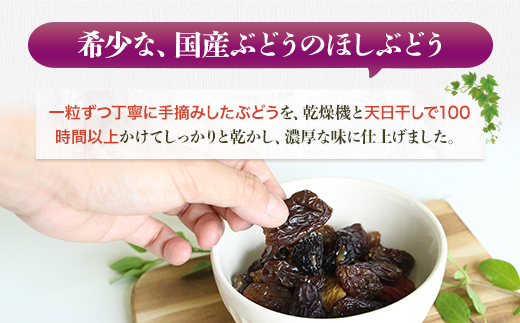 【定期便　毎月お届け6ヵ月】ほしぶどう 40g×5袋 国産 ドライフルーツ 無添加 複数品種 希少 レア 小分け 干し葡萄 干しぶどう 干しブドウ 保存食 備蓄食 常備食 食物繊維 鉄分 ほしぶどう 防災食品 ポリフェノール レーズン 製菓 製パン グラノーラ おやつ おつまみ