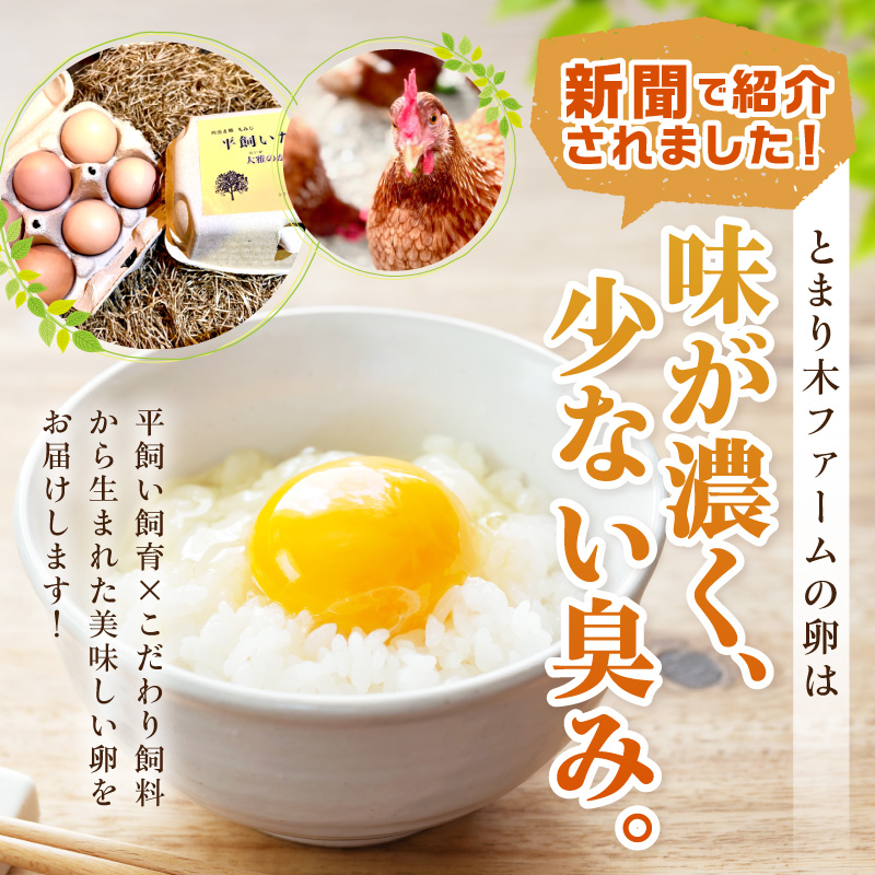 とまり木ファームの平飼い卵（6個入×10パック）【124C-001】