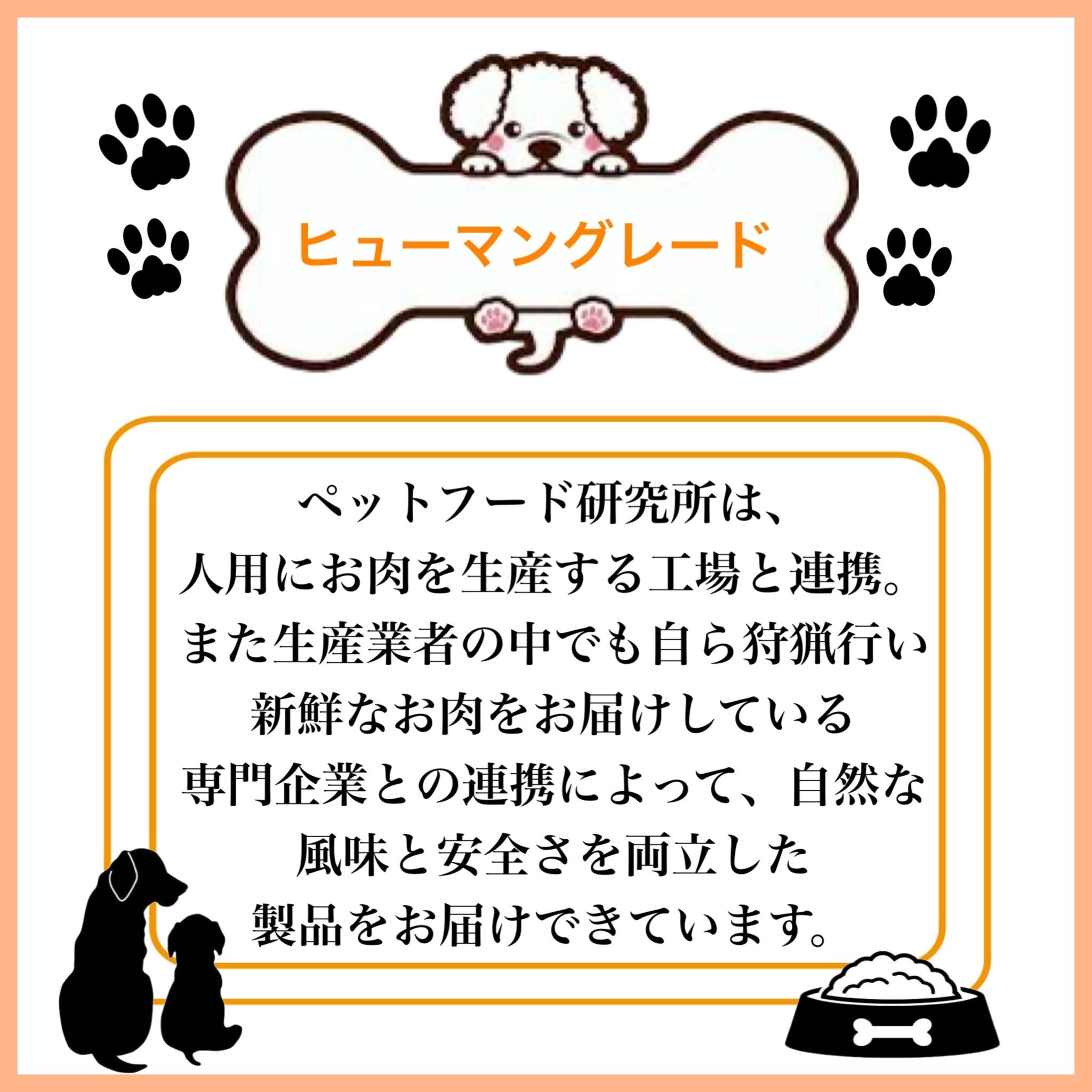 ペットフード研究所 国産無添加 猪肉ジャーキー200g×6回定期便【087B-107】