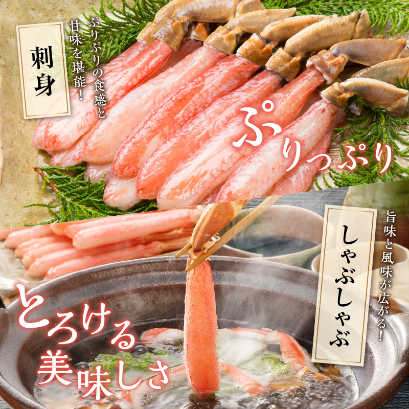 本ズワイガニ フルポーション（生食可）約500g 目視選別 【087D-118】