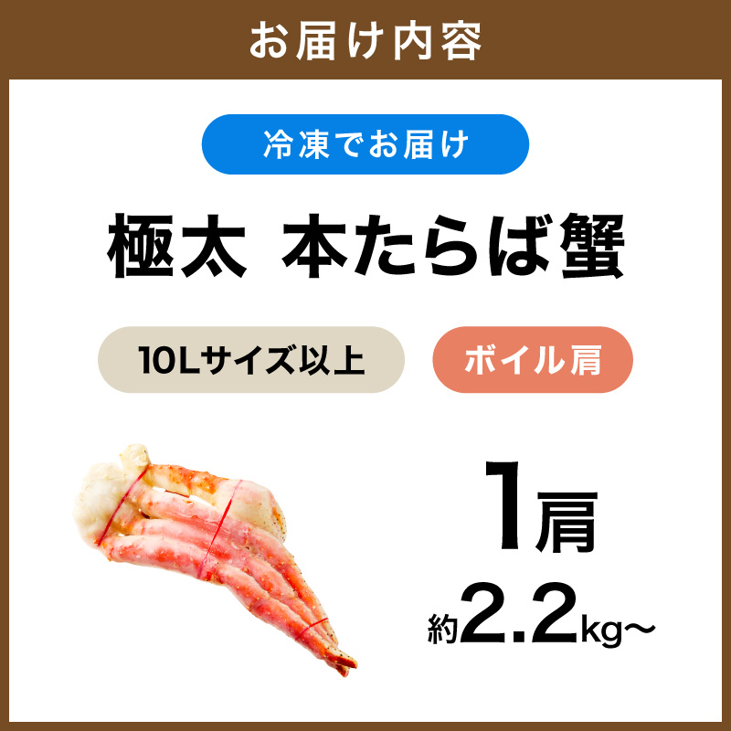 【1肩2.2kg以上の超極太10L以上メガサイズ】本たらば蟹 ボイル肩 約2.2kg以上～ 目視選別【087B-065】