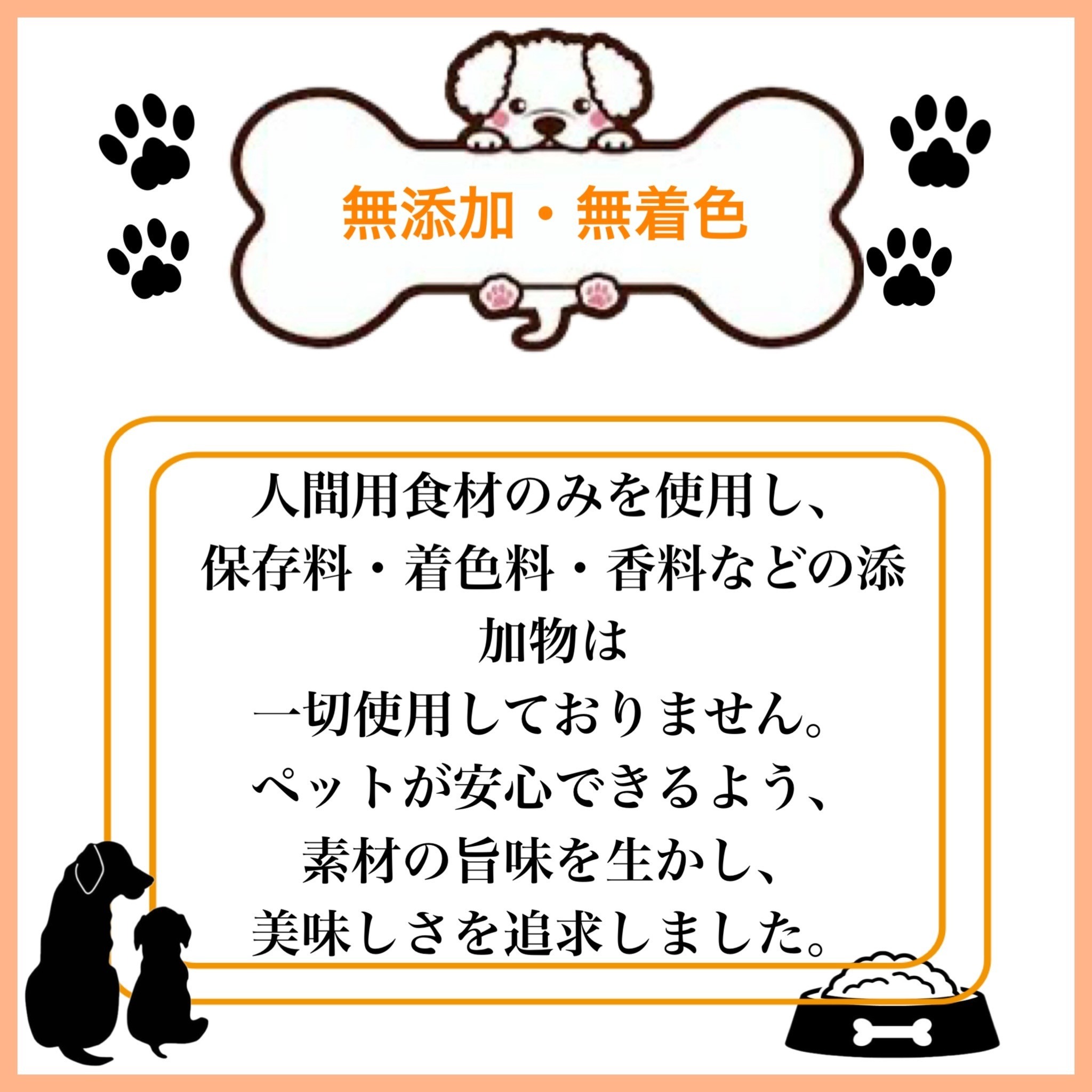 ペットフード研究所 国産無添加 猪肉ジャーキー100g×6回定期便【087C-128】