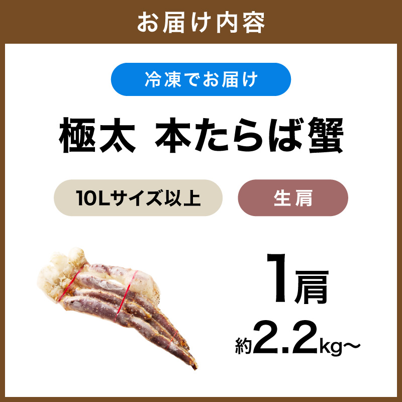 【1肩2.2kg以上の超極太10L以上メガサイズ】一番人気！ 本たらば蟹 生肩 約2.2kg以上～ 目視選別【087B-064】