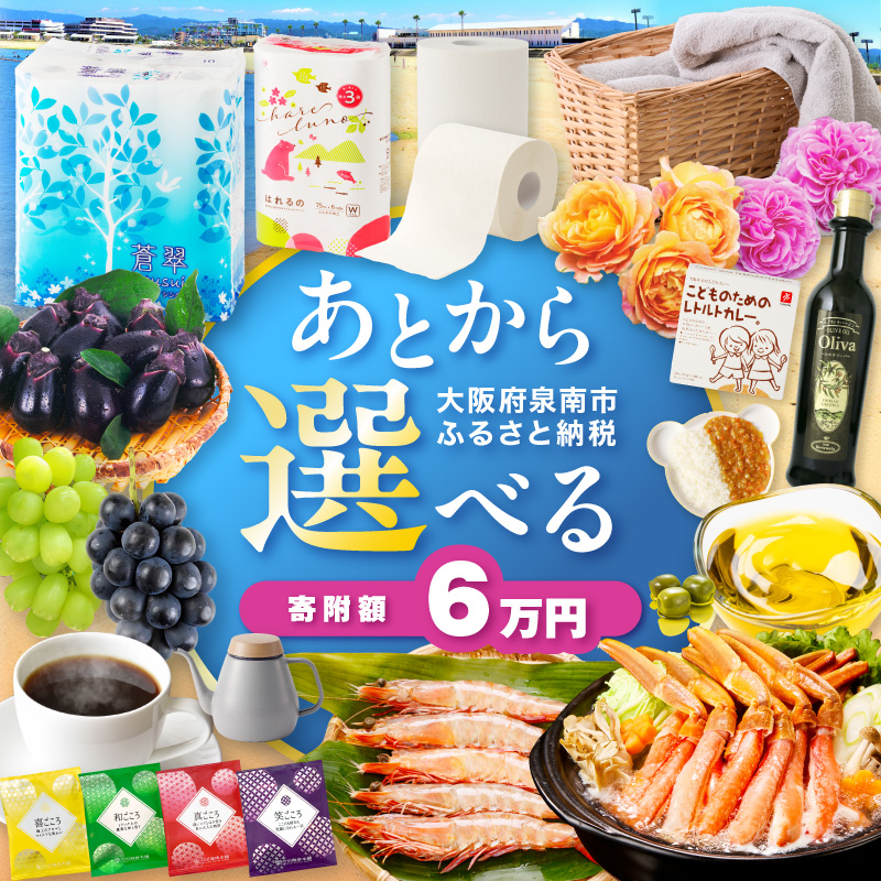 あとからセレクト【ふるさとギフト】6万円【119B-002】
