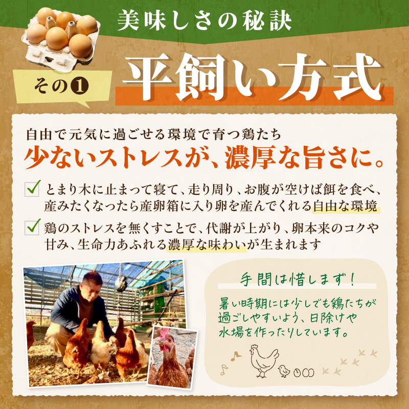 とまり木ファームの平飼い卵（6個入×10パック）【124C-001】