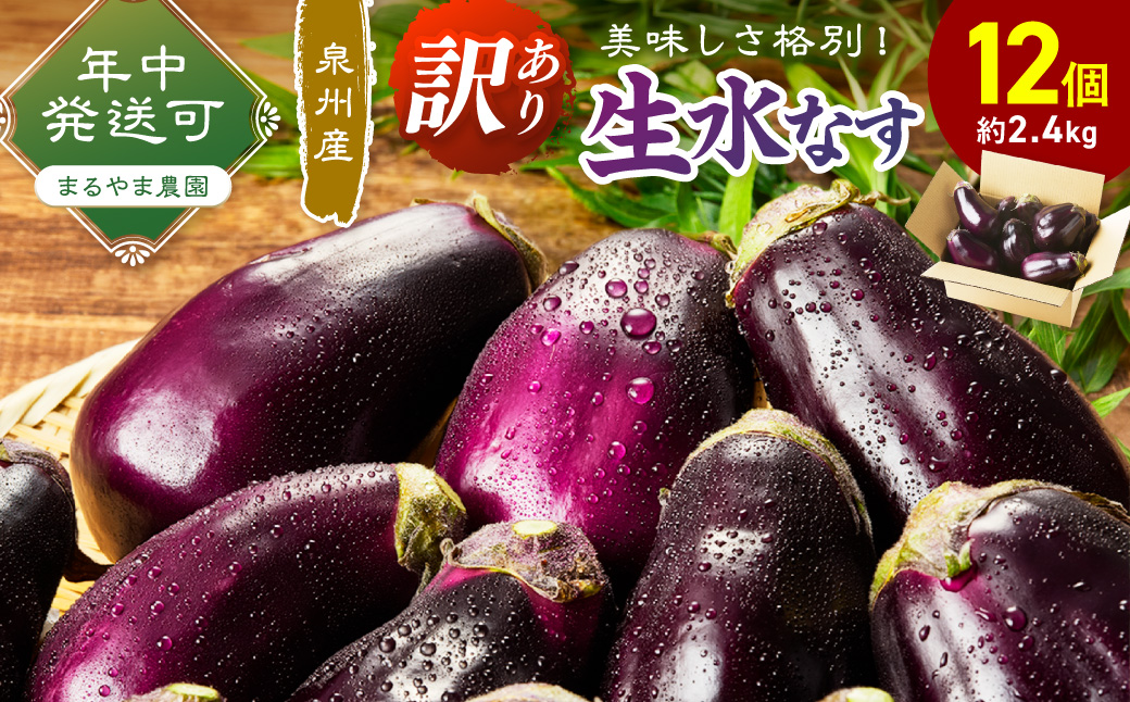 まるやま農園 泉州生水なすB級訳あり品 12個入【087D-159】