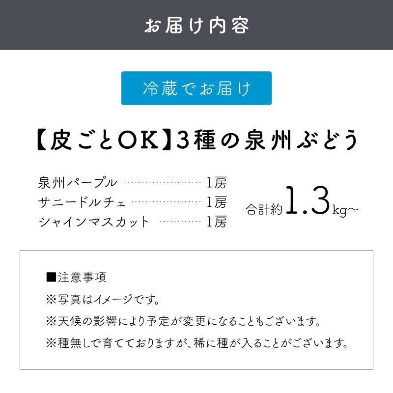 泉州ぶどう【皮ごとOK】泉州パープル シャインマスカット サニードルチェ 各1房セット【065C-004】