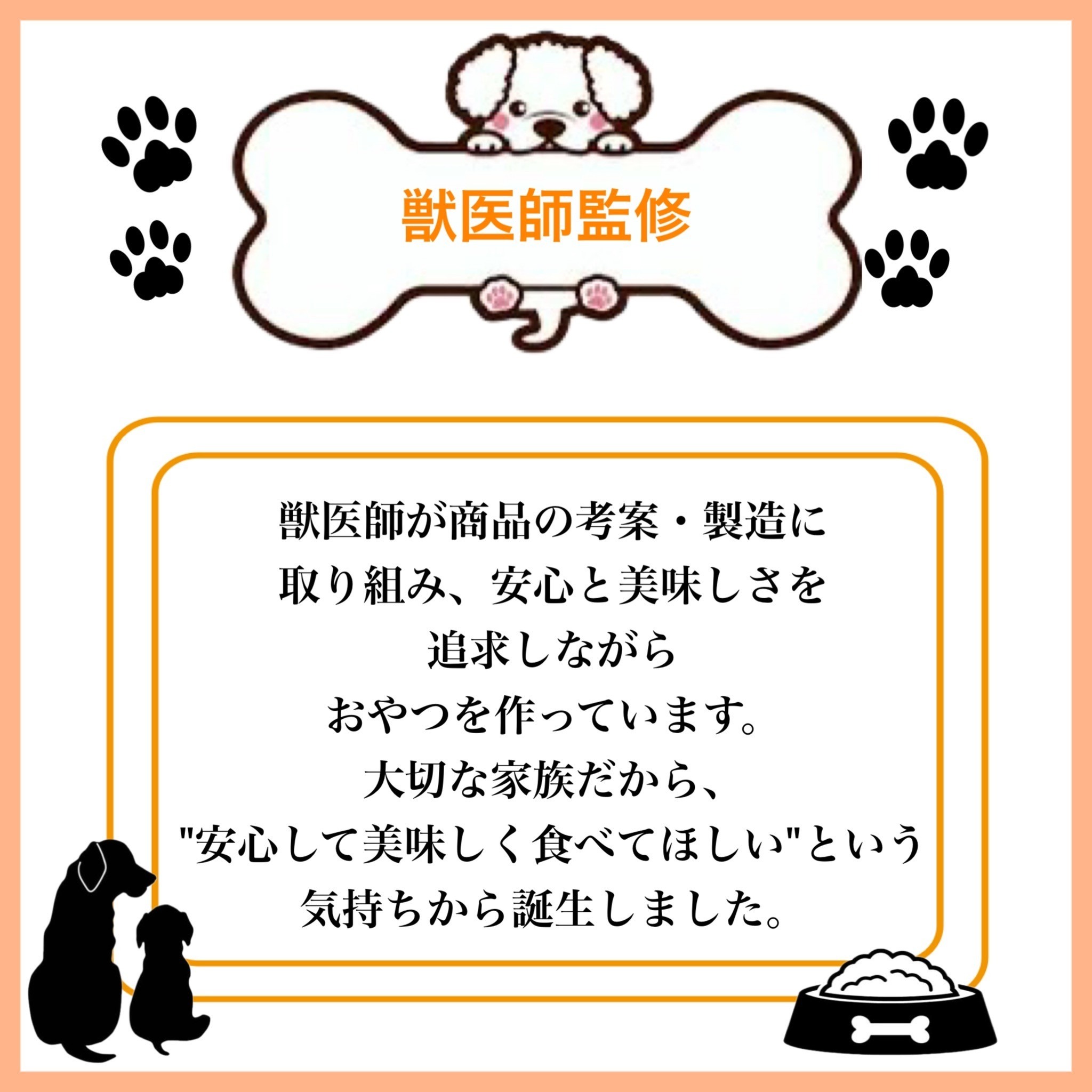 ペットフード研究所 国産無添加 猪肉ジャーキー100g×6回定期便【087C-128】