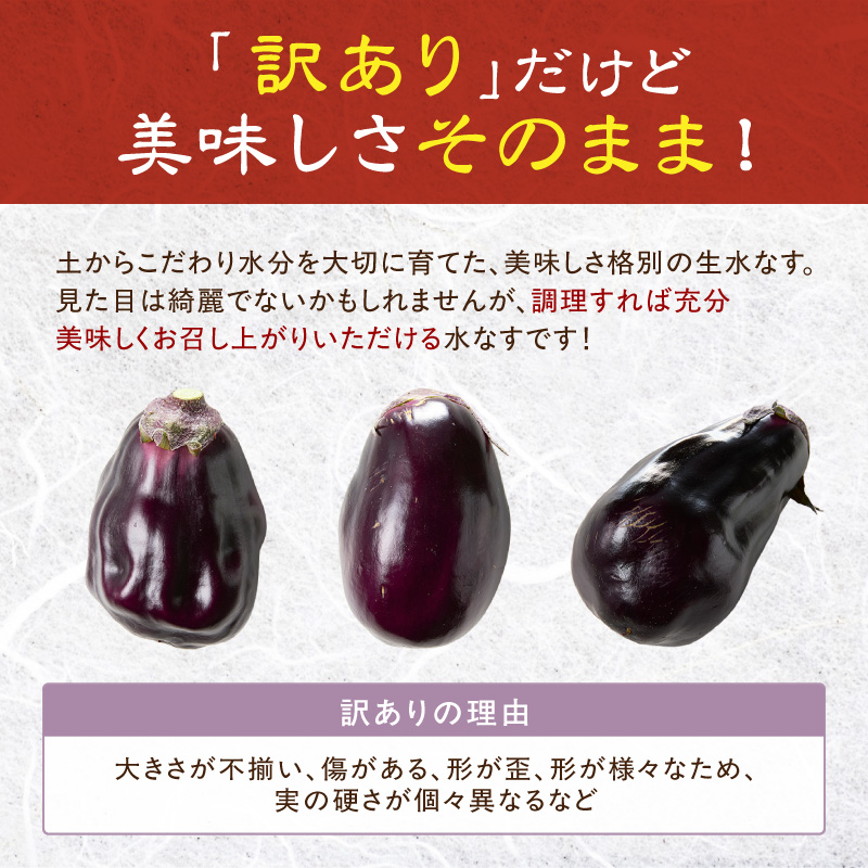 まるやま農園 泉州生水なすB級訳あり品 12個入【087D-159】