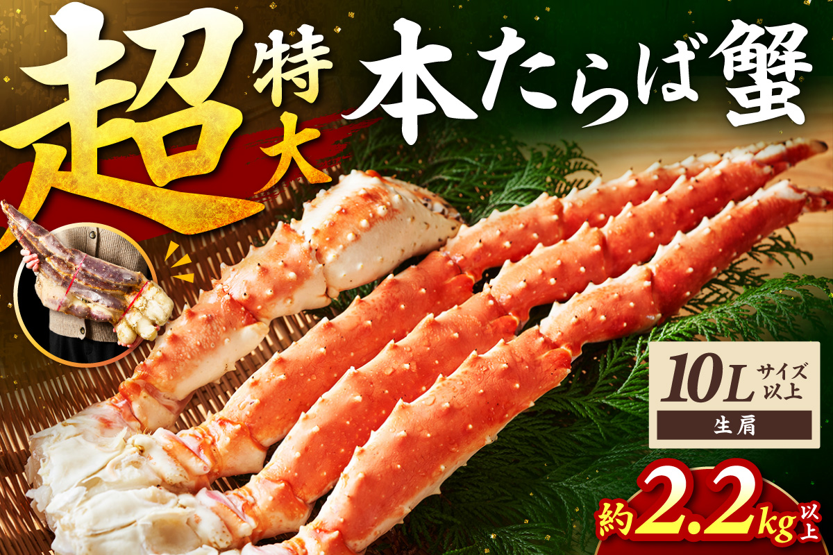 【1肩2.2kg以上の超極太10L以上メガサイズ】一番人気！ 本たらば蟹 生肩 約2.2kg以上～ 目視選別【087B-064】