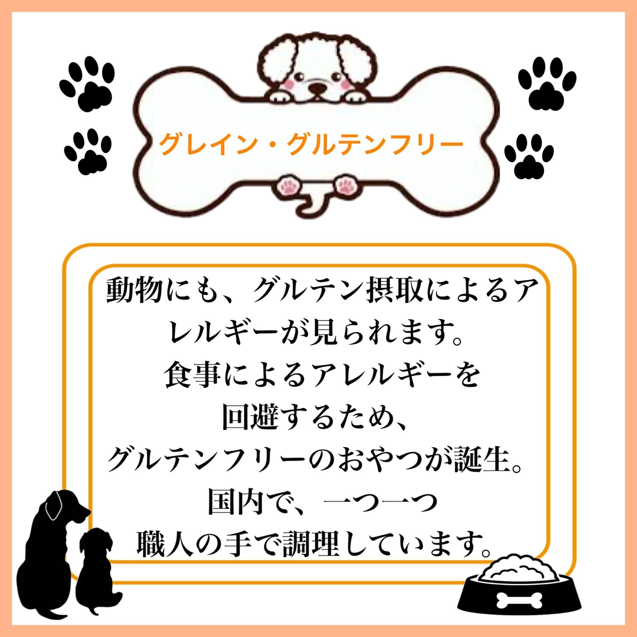 ペットフード研究所 国産無添加 猪肉ジャーキー200g×6回定期便【087B-107】