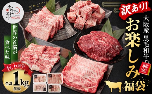 【訳あり】 【世界の首脳が食べた味】 なにわ黒牛 黒毛和牛 お楽しみ福袋 （1.0kg前後 詰め合わせ） 肩ロース リブロース 内ハラミ トウガラシ 三角バラ 国産和牛 ブランド牛 希少和牛 牛肉