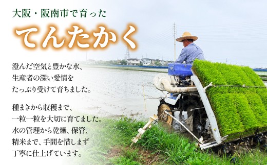 【2026年10月上旬順次発送予定】〈令和８年産〉泉州産 てんたかく 5kg×1袋 / 精米 お米 ご飯 白米 ふっくら つややか 粘り やさしい甘み 単一原料米 消耗品 ストック食材 てんたかく 令和8年産 畑中農園 大阪府 阪南市