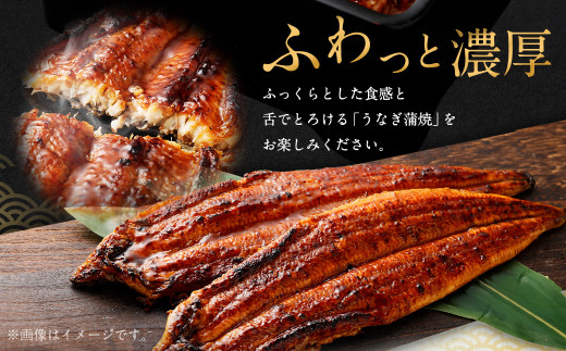 【特大】 国産 うなぎ 蒲焼 3尾 （690～750g）と 特製タレ 3個 セット 鰻 ウナギ 蒲焼き かば焼き うなぎの蒲焼 魚 国産うなぎ うなぎ蒲焼 セイロ蒸し せいろ蒸し タレ付 特性ダレ