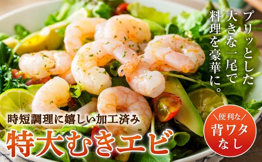 特大 むきエビ 背ワタなし 1.2kg 【入金確認後14営業日以内に発送】 えび 海老 むきえび 剥きエビ 剥きえび 剥き海老 海老フライ エビフライ エビチリ エビマヨ 焼きそば アヒージョ むき身