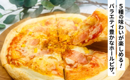 冷凍ホールピザ 5枚セット ピザ 冷凍 洋食 バラエティーピザ バラエティーセット 冷凍ピザ マルゲリータ クワトロチーズ バジル ポテトベーコン 明太子
