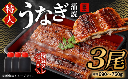 【特大】 国産 うなぎ 蒲焼 3尾 （690～750g）と 特製タレ 3個 セット 鰻 ウナギ 蒲焼き かば焼き うなぎの蒲焼 魚 国産うなぎ うなぎ蒲焼 セイロ蒸し せいろ蒸し タレ付 特性ダレ
