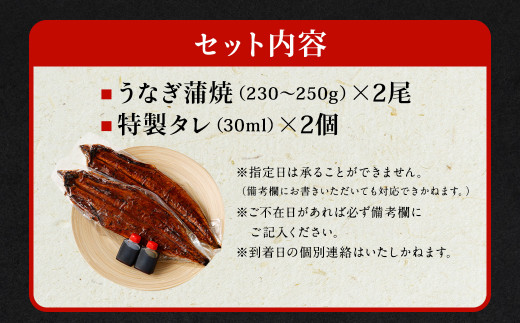 【特大】 国産 うなぎ 蒲焼 2尾 （460 ～ 500g）と 特製タレ 2個 鰻 ウナギ 蒲焼き かば焼き うなぎの蒲焼 魚 国産うなぎ うなぎ蒲焼 セイロ蒸し せいろ蒸し タレ付 特性ダレ さかな