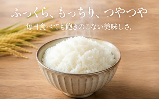 【2026年10月上旬順次発送予定】〈令和８年産〉泉州産 てんたかく 5kg×1袋 / 精米 お米 ご飯 白米 ふっくら つややか 粘り やさしい甘み 単一原料米 消耗品 ストック食材 てんたかく 令和8年産 畑中農園 大阪府 阪南市