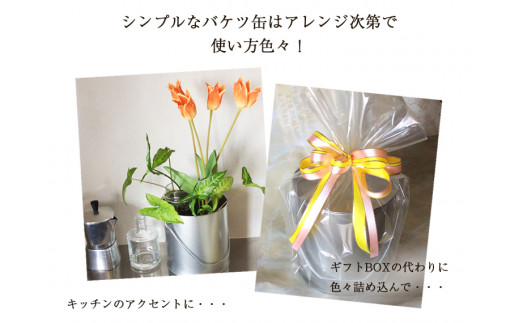 【ホテルや百貨店使用】 バケツ型 オリジナルクッキー 個包装 詰め合わせ アラモード 56枚入り（7種類×各8枚） ナカイ製菓 お菓子 焼き菓子 和菓子 洋菓子 おやつスイーツ クッキー缶 人気