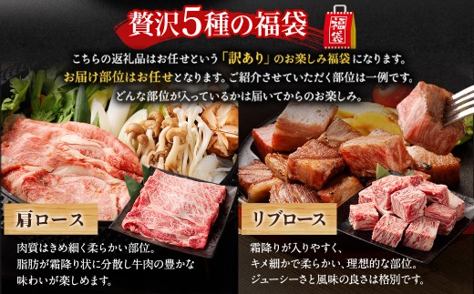 【訳あり】 【世界の首脳が食べた味】 なにわ黒牛 黒毛和牛 お楽しみ福袋 （1.0kg前後 詰め合わせ） 肩ロース リブロース 内ハラミ トウガラシ 三角バラ 国産和牛 ブランド牛 希少和牛 牛肉